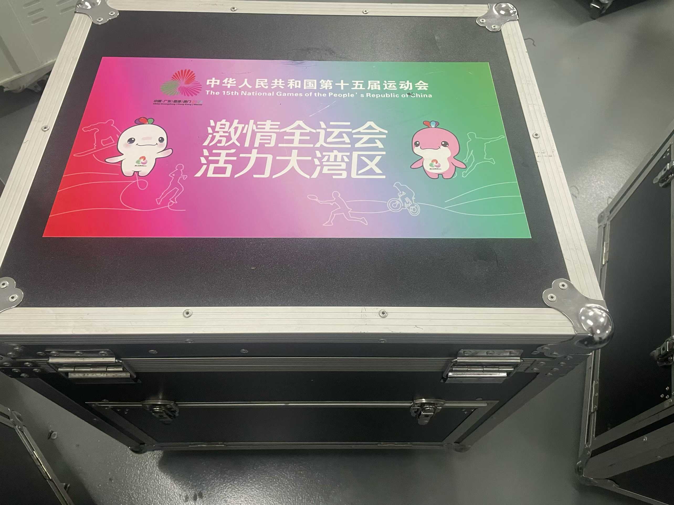 2025年 11月十五全运会安检门安装验收完成